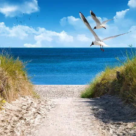 2 Sea C 29 * Großenbrode